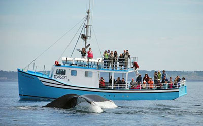 Our vessel is the Chad and Sisters Two Our vessel is the Chad and Sisters Two